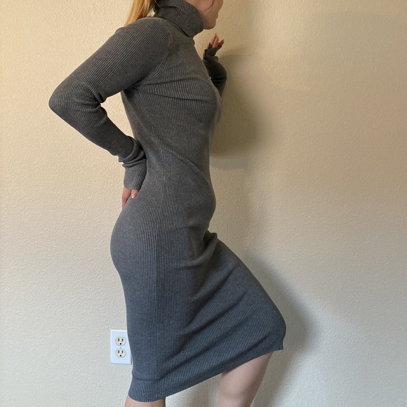 Express Turtle Neck Dress - Picture 4 of 5